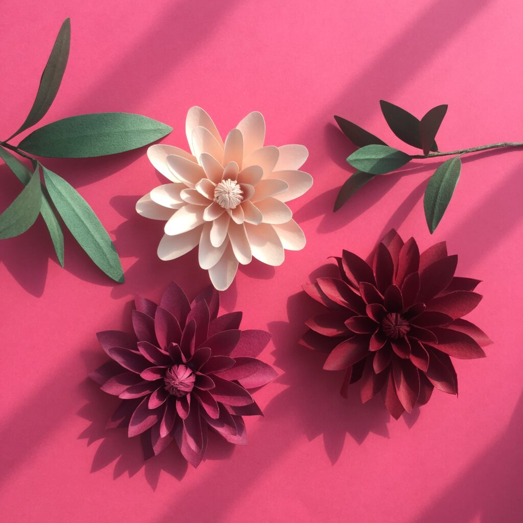 essential paper flower care tips