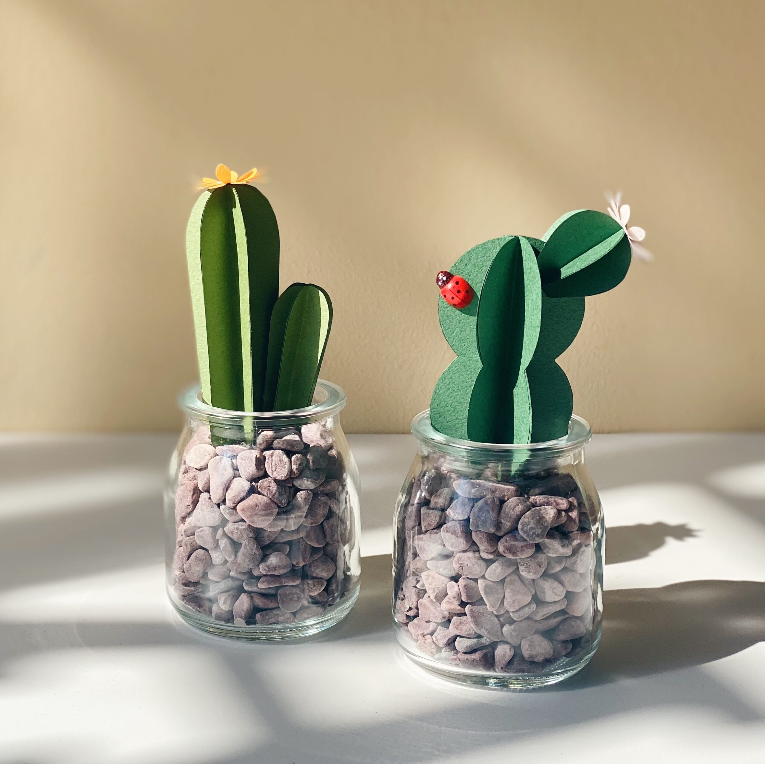 Cactus 01과 02 종이 선인장 완성 작품