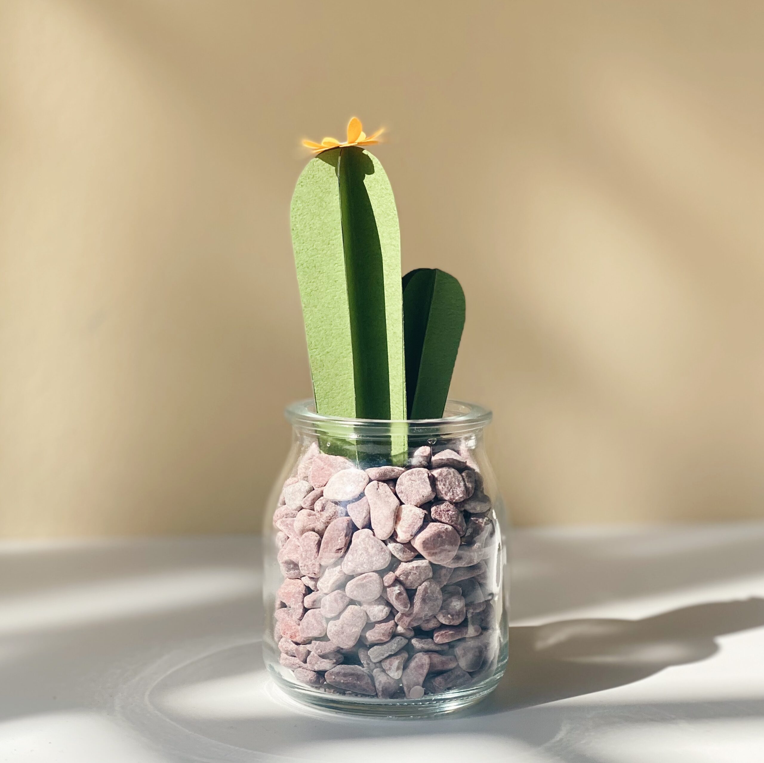 Cactus 01 완성 작품